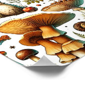 Whimsical Wild Mushrooms Poster (Ecke)