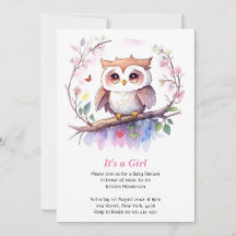 Whimsical Woodland Owl Girl Baby Dusche