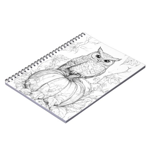 Whimsical Woods Notebook - Autumnal Owl Journal Notizblock (Linke Seite)