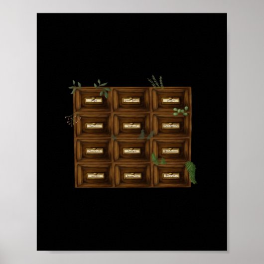 Whimsigoth Apothecary Drawers Poster (Vorne)