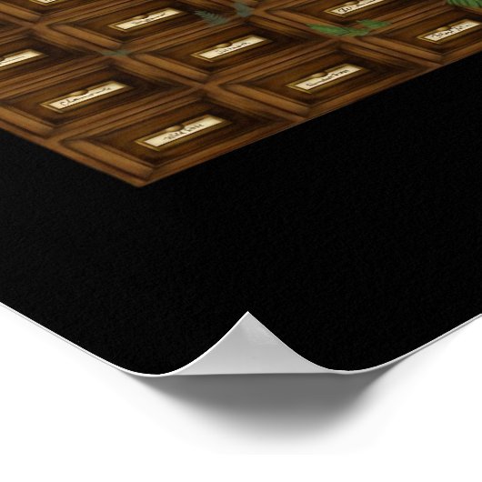 Whimsigoth Apothecary Drawers Poster (Ecke)