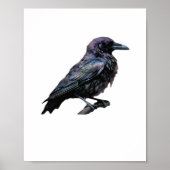Whimsigoth Moody Floral Grungy Corvus, Raven, Crow Poster (Vorne)