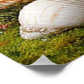 Whimsikale Hütte mit einem blühenden Blumengarten Poster (Ecke)