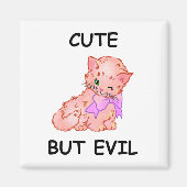 Whimsikkatze Magnet (Vorne)