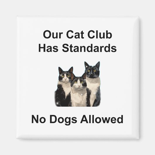 Whimsikkatze Magnet (Vorne)