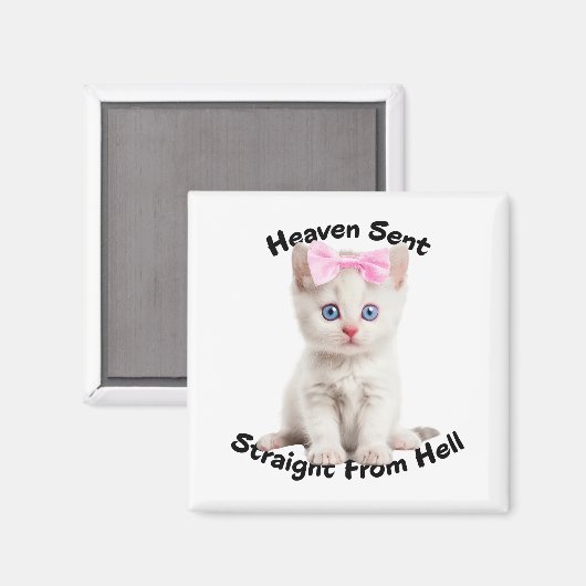 Whimsikkatze Magnet (Vorderseite/Rückseite)