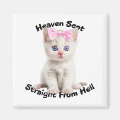 Whimsikkatze Magnet (Vorne)