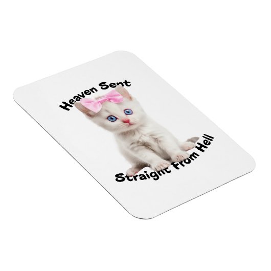Whimsikkatze Magnet (Rechte Seite)