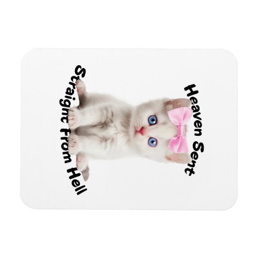 Whimsikkatze Magnet (Horizontal)