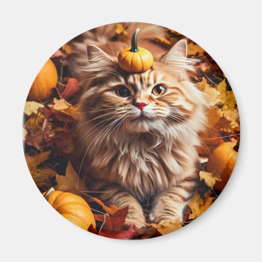 Whimsikkatze mit Pumpkins Magnet (Vorne)