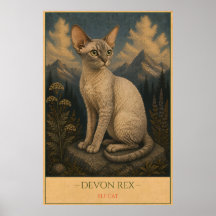 Whimsische Schönheit: Devon Rex