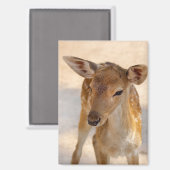 Whimsische Waldhirsch-Fotografie Magnet (Vorderseite/Rückseite)