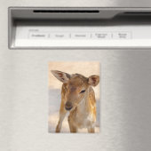 Whimsische Waldhirsch-Fotografie Magnet (In Situ (Geschirrspüler))