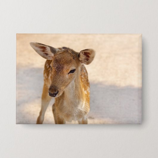 Whimsische Waldhirschfotografie Button (Vorderseite)