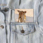 Whimsische Waldhirschfotografie Button (Insitu)
