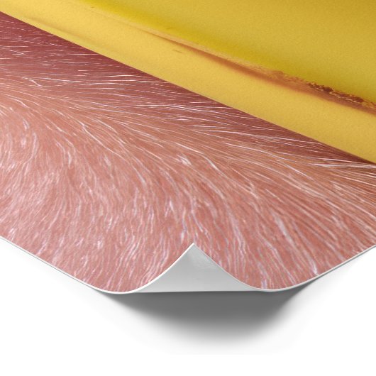 Whimsischer Banane und rosa Monkey Poster (Ecke)