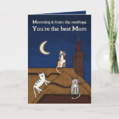 Whimsischer Niedlicher Cat Meaulwurm Rooftops Mütt Karte (Vorderseite)