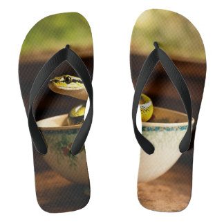 Whimsischer Slippers: Treten Sie mit Fantasy ein Badesandalen
