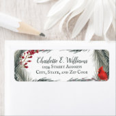 Whimsischer Winter-Kardinal (Insitu)