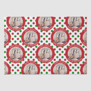 Whimsisches Foto Red Green Polka Dot Holiday Seidenpapier