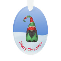 Whimsisches Gnome an einem schneebedeckten Weihnac