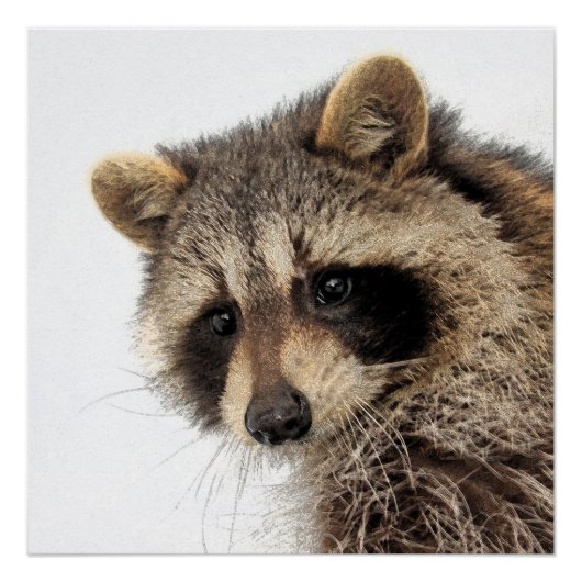 Whimsisches Raccoon Glossy Poster (Vorderseite)