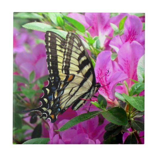 Whimsy Art Tile Fliese (Vorderseite)