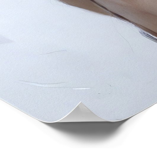 Whimsy & Light Poster (Ecke)