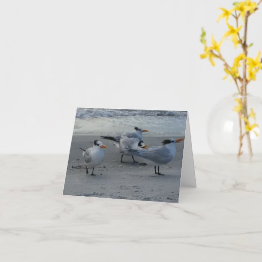 Whinning Seagull Karte (Gelbe Blume)