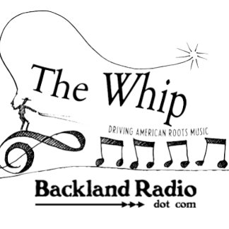 Whip Driving American Roots Music T-Shirt