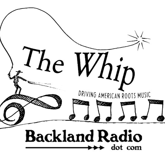 Whip Driving American Roots Music T-Shirt