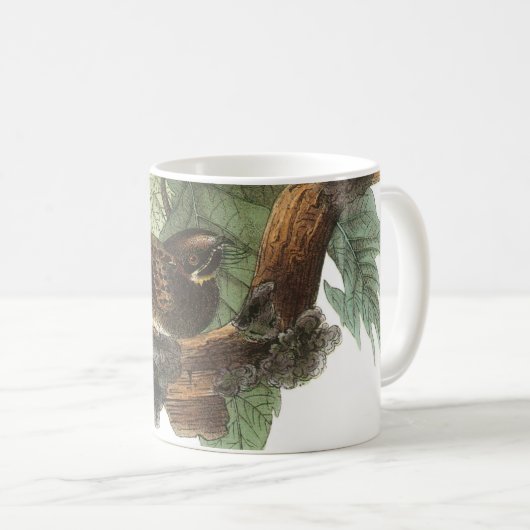Whip-poor-will von Audubon Kaffeetasse (VorderseiteRechts)