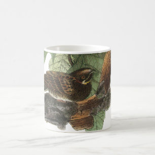 Whip-poor-will von Audubon Kaffeetasse