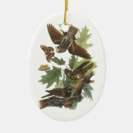 Whip-poor-will von Audubon Keramikornament