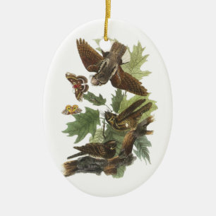 Whip-poor-will von Audubon Keramikornament