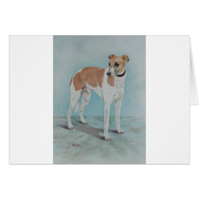 Whippet (Vorderseite (Horizontal))
