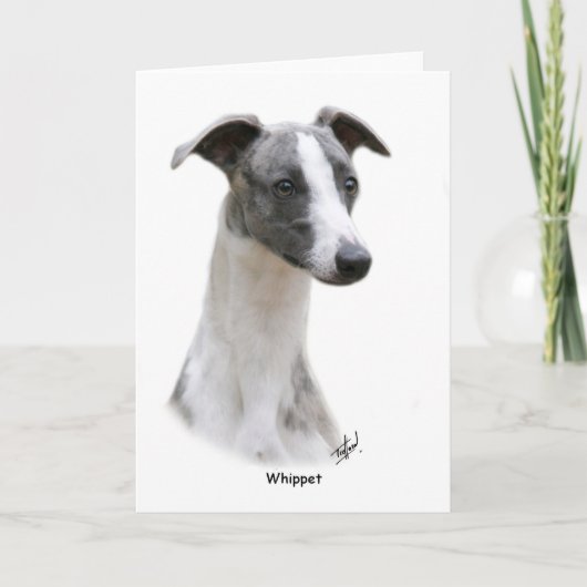 Whippet 9Y205D-231 Karte (Vorderseite)