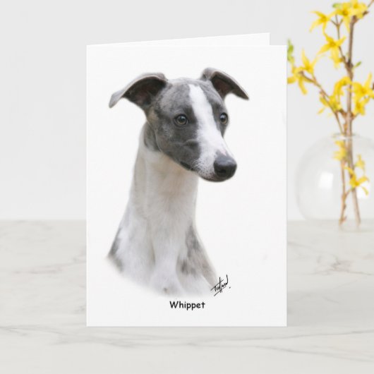 Whippet 9Y205D-231 Karte (Gelbe Blume)