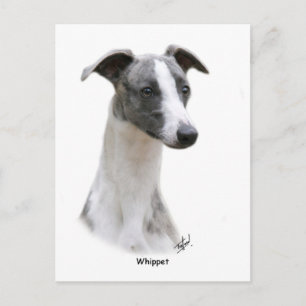 Whippet 9Y205D-231 Postkarte