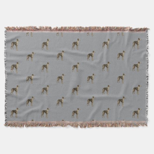 Whippet-Decke - Whippet vor grauem Hintergrund Decke (Vorderseite)