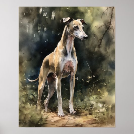 Whippet Dog Art Print Poster (Vorne)