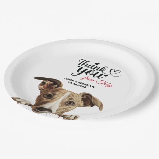 Whippet Dog Pappteller (Schrägansicht)