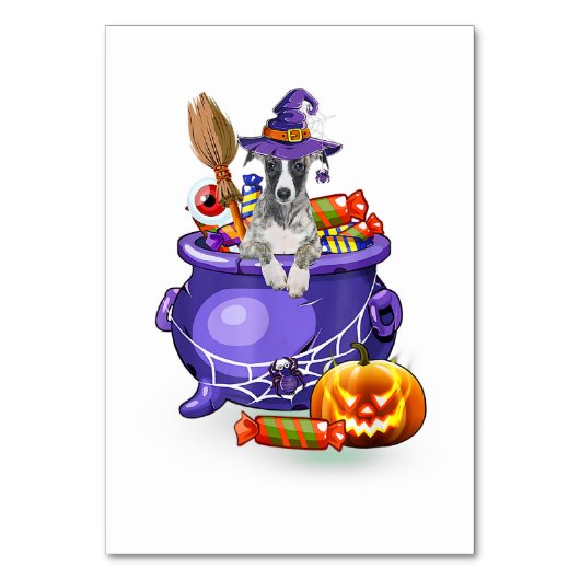 Whippet Dog with witch hat Candy Pumpkin Halloween Tischnummer (Vorderseite)