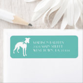 Whippet Doppy (Insitu)