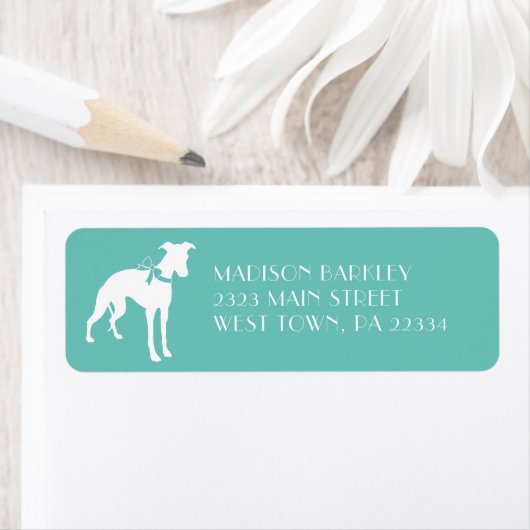 Whippet Doppy (Insitu)