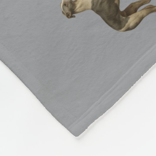 Whippet fleece blanket with grey background (Ecke)
