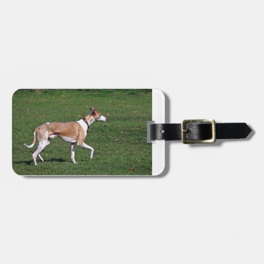 whippet-full.png gepäckanhänger (Vorderseite horizontal)