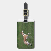 whippet-full.png gepäckanhänger (Vorderseite vertikal)