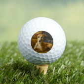 Whippet Golfball (Insitu T-Shirt)