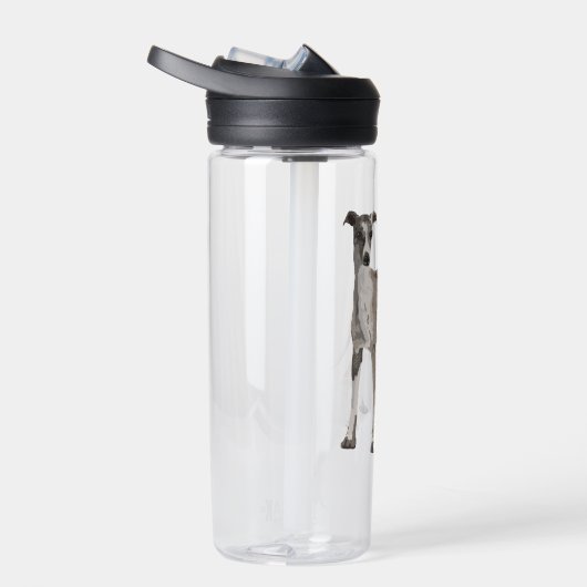 Whippet grau-weiß trinkflasche (Rechts)